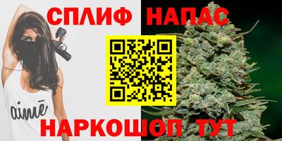 ешки Гатчина