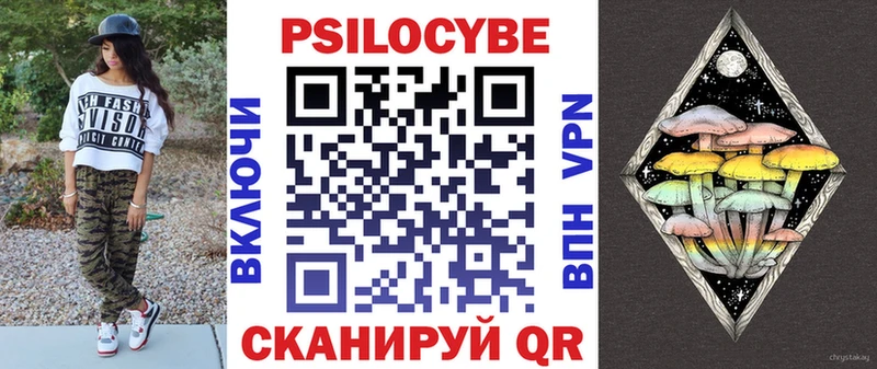Псилоцибиновые грибы Cubensis  купить закладку  Кузнецк 
