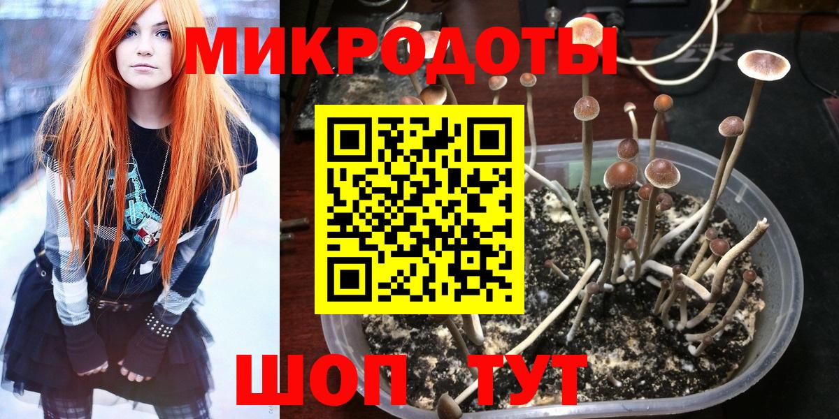 Псилоцибиновые грибы Cubensis Кузнецк